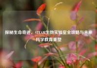 探秘生命奇迹，STEAM生物实验室全攻略与未来科学教育重塑