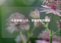 王者巅峰2347分，荣耀背后的挑战