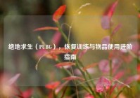 绝地求生（PUBG），恢复训练与物品使用进阶指南