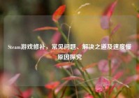 Steam游戏修补，常见问题、解决之道及速度慢原因探究