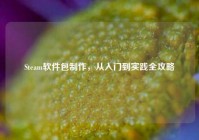 Steam软件包制作，从入门到实践全攻略