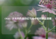 CSGO，大号的热血回忆与给小号的饰品馈赠