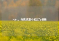 PUBG，电竞浪潮中的起飞征程