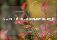 Steam平台上队长翼，新秀崛起的热血足球之旅