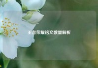 王者荣耀铭文数量解析