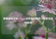 警惕域名污染，Steam受影响的原因、危害及应对查询