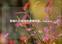 探秘PUBG领域的神秘存在，hxor pubg