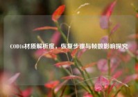 COD16材质解析度，恢复步骤与帧数影响探究