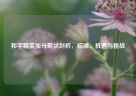 和平精英加分现状剖析，标准、机遇与挑战