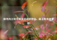 探寻内江和平精英培训班地址，踏上电竞逐梦路