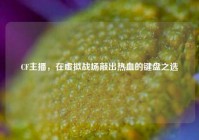 CF主播，在虚拟战场敲出热血的键盘之选