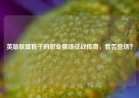 英雄联盟猴子的职业赛场征战传奇，曾否登场？