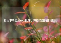 战火下乌克兰CSGO比赛，竞技闪耀的独特魅力