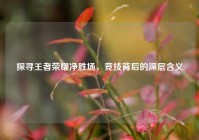 探寻王者荣耀净胜场，竞技背后的深层含义