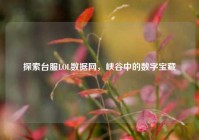 探索台服LOL数据网，峡谷中的数字宝藏