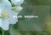 新手进阶，如何玩好PUBG
