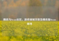 腾讯与Steam社区，游戏领域关联及腾讯版Steam探寻