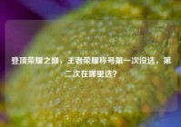 登顶荣耀之巅，王者荣耀称号第一次没选，第二次在哪里选？