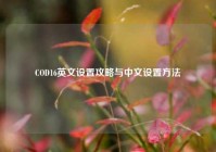 COD16英文设置攻略与中文设置方法