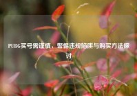 PUBG买号需谨慎，警惕违规陷阱与购买方法探讨