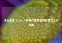 绝地求生（PUBG）信号打法及信号枪打正上方指南