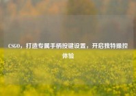 CSGO，打造专属手柄按键设置，开启独特操控体验