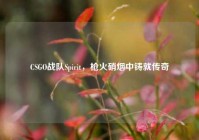 CSGO战队Spirit，枪火硝烟中铸就传奇