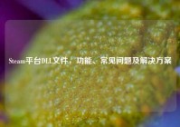 Steam平台DLL文件，功能、常见问题及解决方案