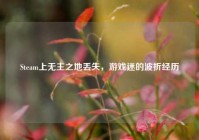 Steam上无主之地丢失，游戏迷的波折经历