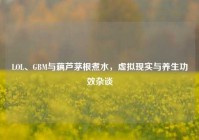 LOL、GBM与藕芦茅根煮水，虚拟现实与养生功效杂谈