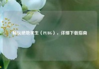 畅玩绝地求生（PUBG），详细下载指南