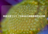 穿越火线（CF）二次实名认证信息修改全攻略