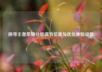 探寻王者荣耀分级调节位置与优化体验设置