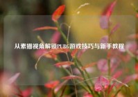 从素描视角解锁PUBG游戏技巧与新手教程