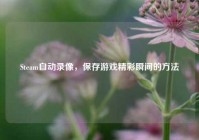 Steam自动录像，保存游戏精彩瞬间的方法