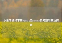 小米手机打不开PUBG 2及chrome的问题与解决探索