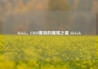 Aleksi，CSGO赛场的璀璨之星 Aleksib