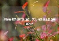 探秘王者荣耀韩信档位，实力与荣耀象征及调节方法