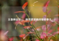 王者峡谷处cp，探寻浪漫羁绊那些事儿