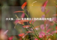 小火猴，CSGO 电竞舞台上的热血闪光传奇