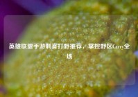 英雄联盟手游刺客打野推荐，掌控野区Carry全场