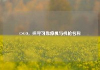 CSGO，探寻可靠僚机与机枪名称
