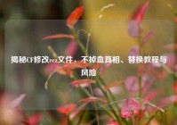 揭秘CF修改rez文件，不掉血真相、替换教程与风险