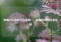 探秘PUBG南美与北美第一，荣耀背后的热血征程