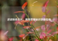 逆战粉色名片，独特荣耀标识获取指南