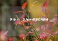 罗技G Pro，助力CSGO玩家迈向巅峰