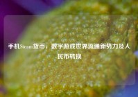 手机Steam货币，数字游戏世界流通新势力及人民币转换