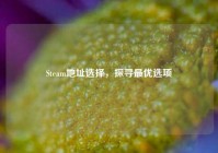 Steam地址选择，探寻最优选项