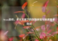 Steam游戏，多元发展下的创新体验与加速需求探讨