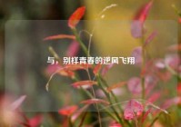 与，别样青春的逆风飞翔